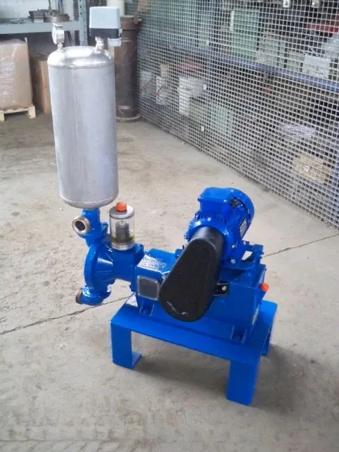 Bomba de alimentacion a piston-membrana VR2M de 2 m3/h.