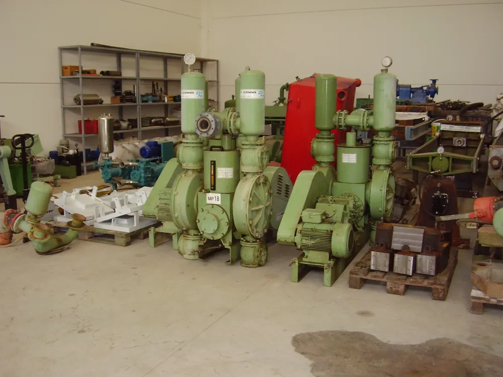 N.03 pompe-fanghi DMPM30 a doppia membrana